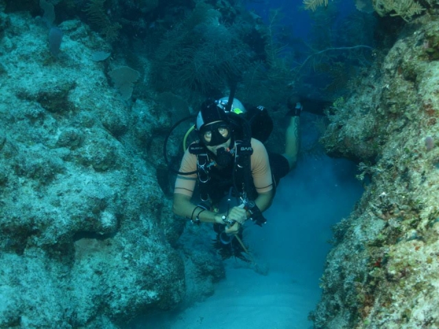  Diving in the sea 